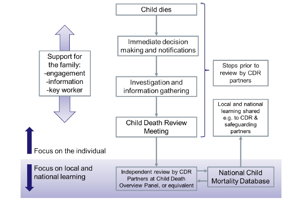 child death chart process